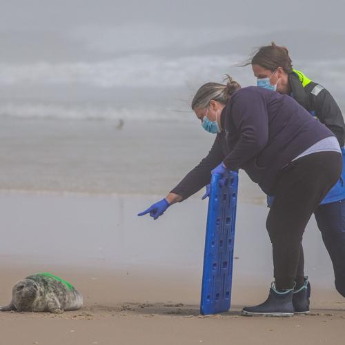 National Aquarium Response !.jpg