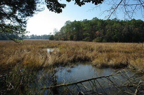Wetipquin Creek State Park