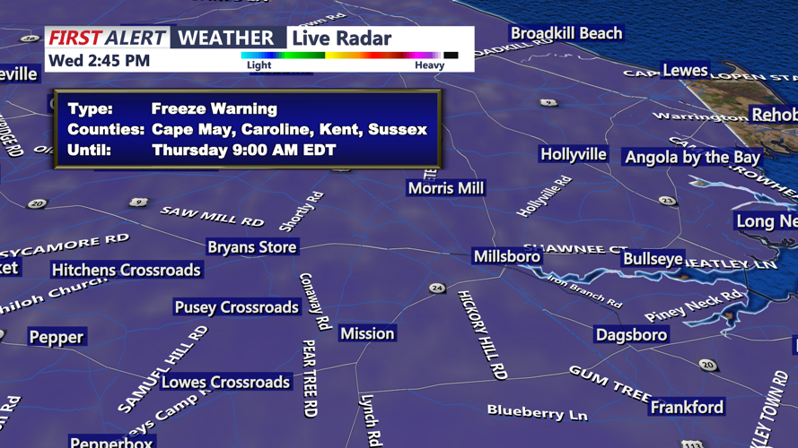 FREEZE WARNING SUSSEX