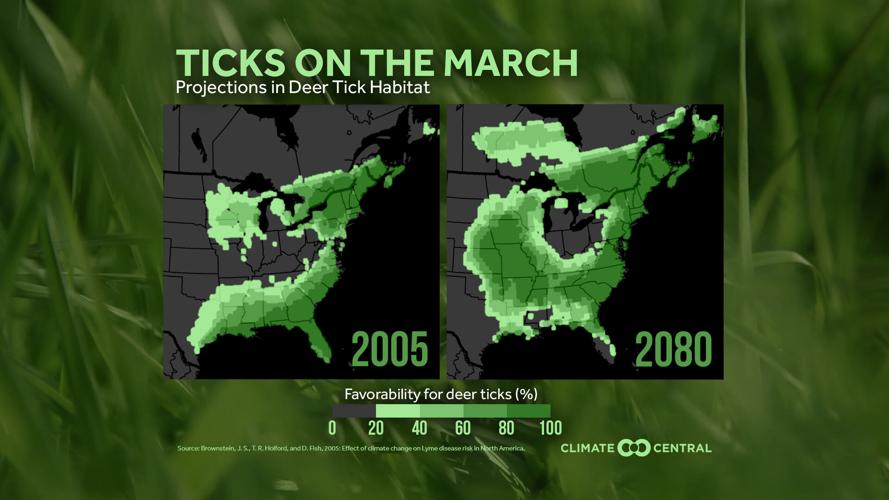 Tick Habitat Spreading