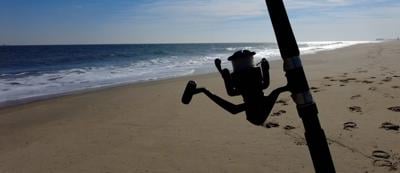 Surf Fishing