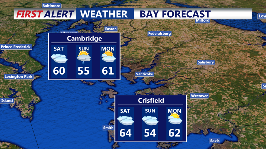 BAY FORECAST