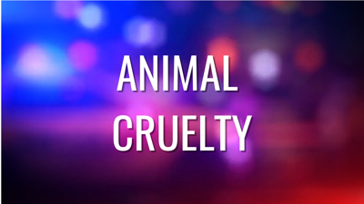 Animal Cruelty