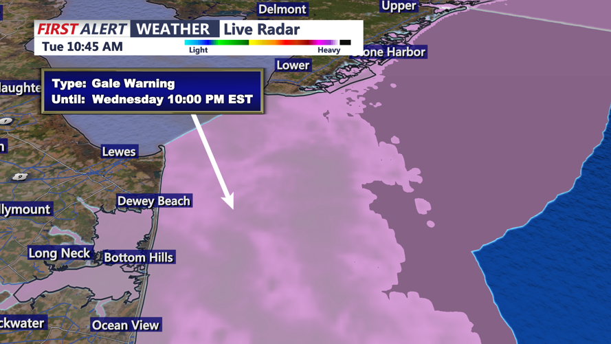 GALE WIND WARNING - SUSSEX COUNTY COAST