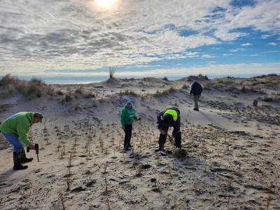 Community effort strengthens Delaware coastline