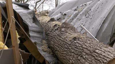 Storms Cause Severe Damage Throughout Sussex County