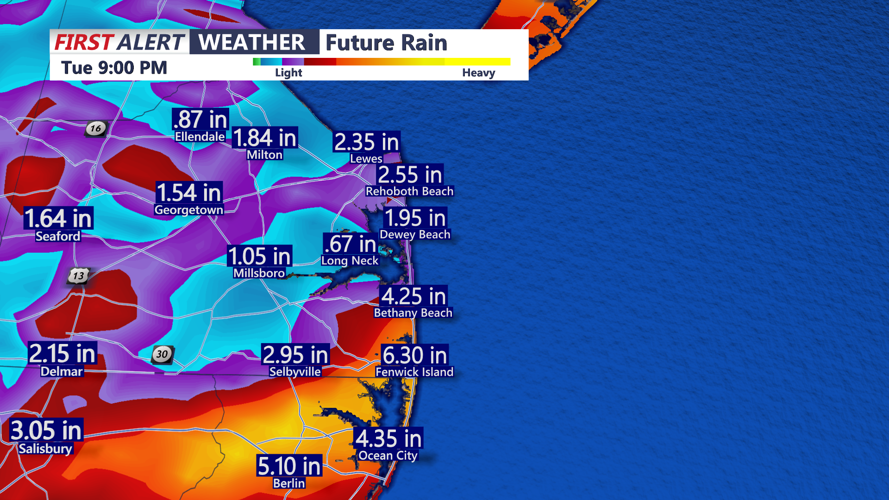 Futurecast Rainfall