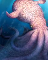 Ancient Predatory Octopus