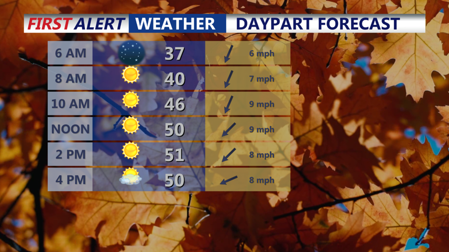 DAYPART FORECAST
