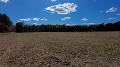 Drought