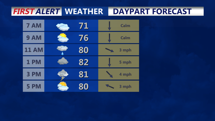 DAYPART FORECAST