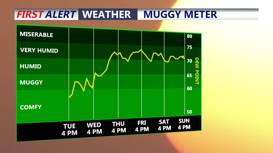 muggy meter