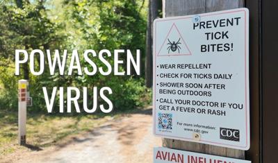 Ticks