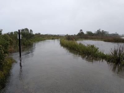 an image of gordons pond trail flooded
