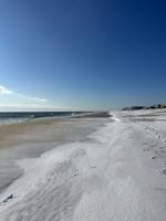 February Snowfall on Delmarva 2025