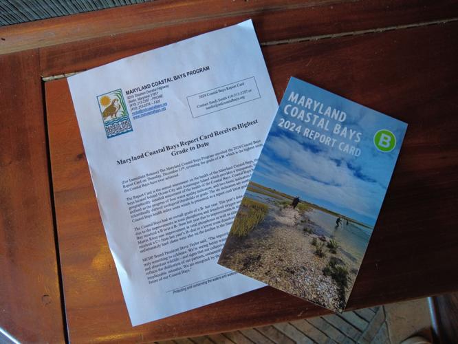 2024 Coastal Bays Report Card