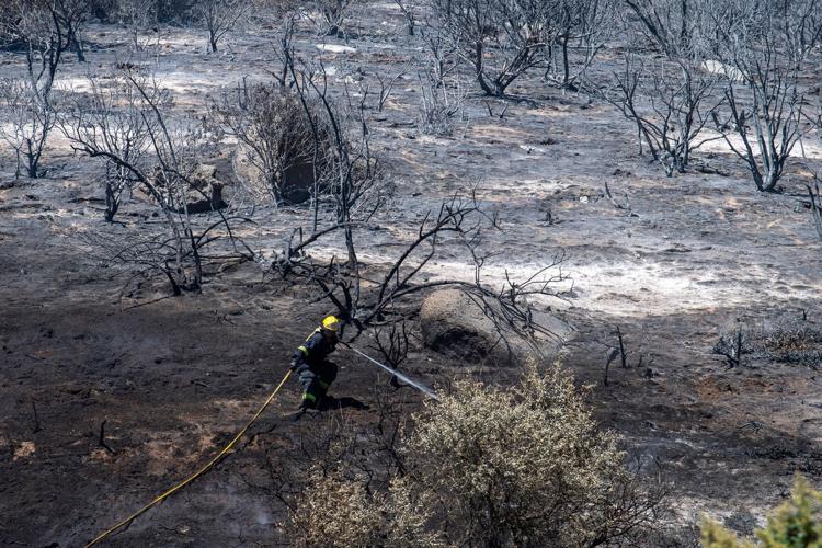 Climate Wildfires Global