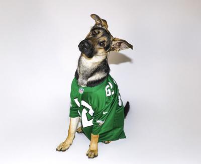ADOPTABLE PET