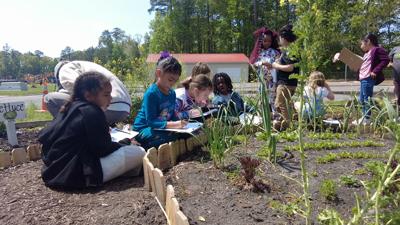 Nonprofit Brings Agricultural Education to Young Students