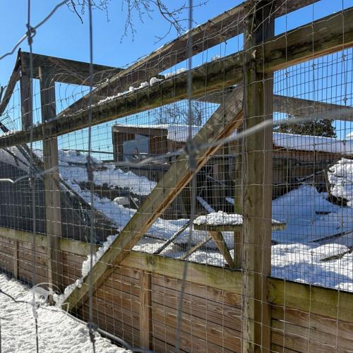 Blizzard causes damage at Coastal Wilds Zoo
