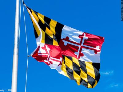 Maryland State Flag