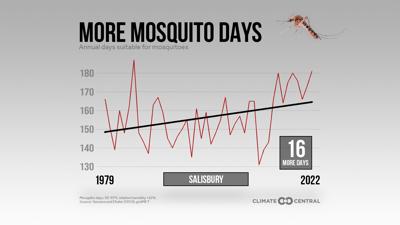 More Mosquito Days