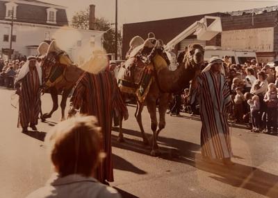 Camels at Return Day