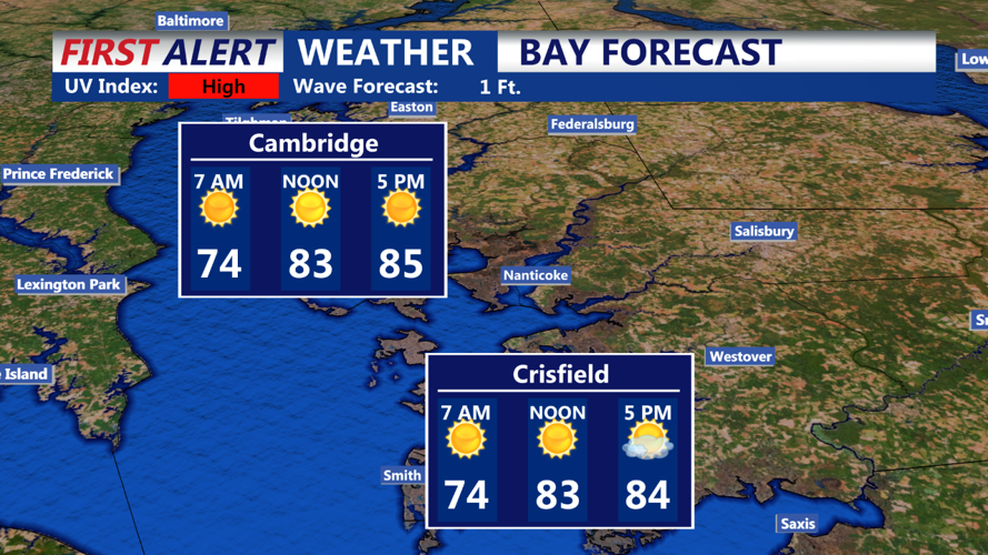 Bay Forecast Hourly