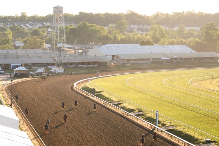 Preakness Stakes Laurel Park Horse Racing