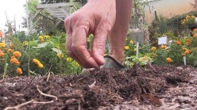 Sussex Master Gardeners