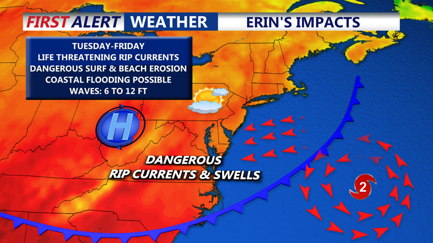 ERINS IMPACTS