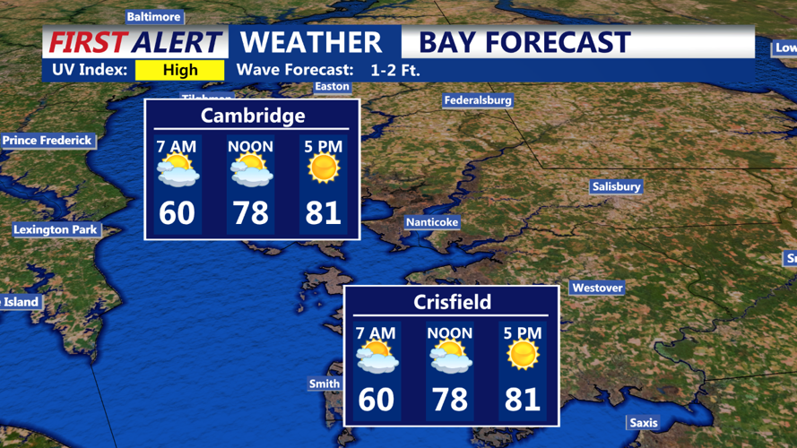 BAY FORECAST