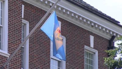Delaware flag