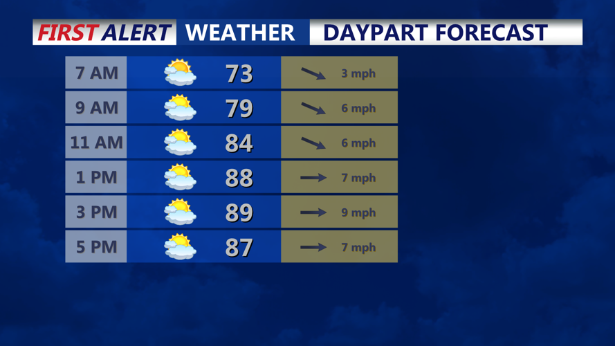 DAYPART FORECAST
