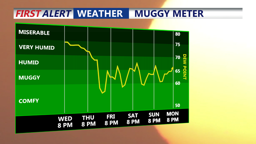 Muggy Meter