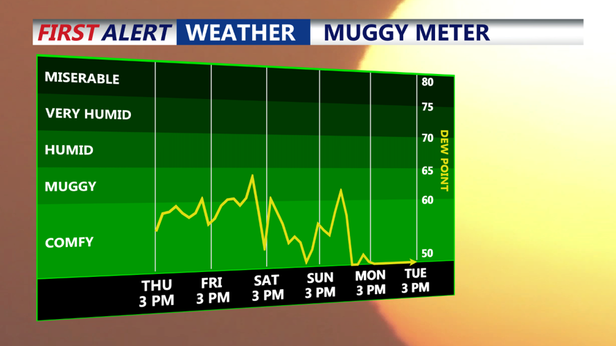 muggy meter