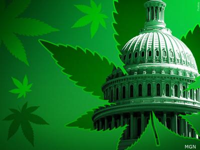 Capitol Building and pot marijuana