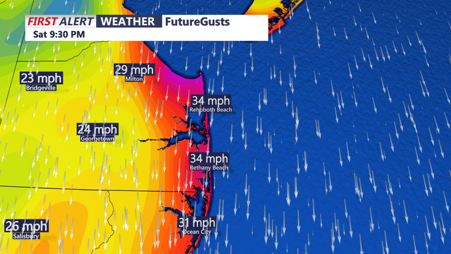 FUTUREGUSTS - SUSSEX / OCEAN CITY