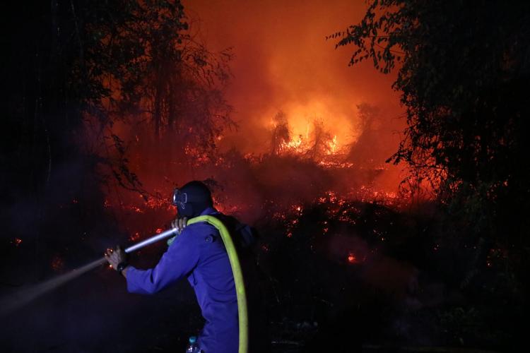 Indonesia Wildfires