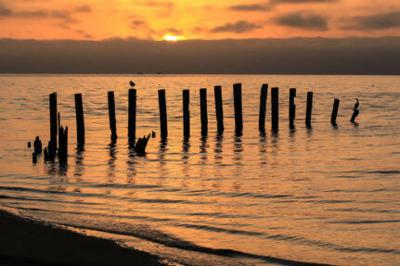Chesapeake Bay