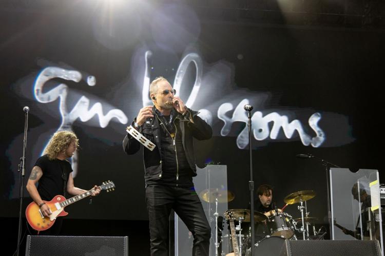 Gin Blossoms at Oceans Calling