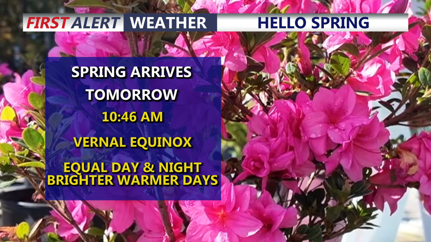 HELLO SPRING - TOMORROW