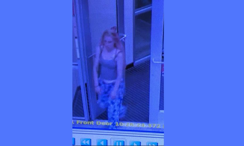 Dover Wawa robbery suspect