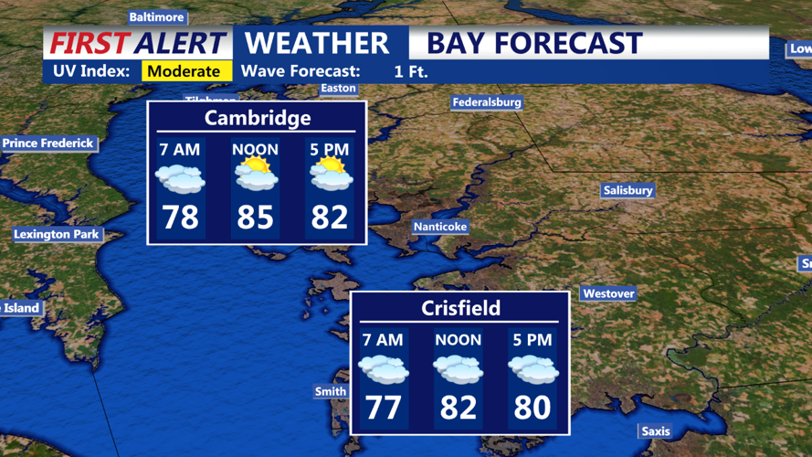 BAY FORECAST