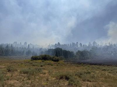 colorado fire