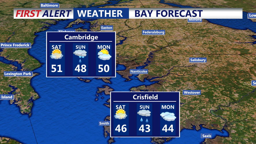 BAY FORECAST