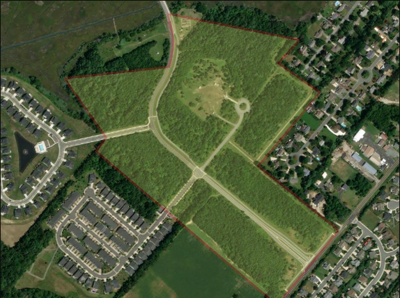 Great Marsh Park Survey