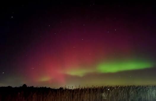 Broadkill Beach, Molly Elizabeth.jpg