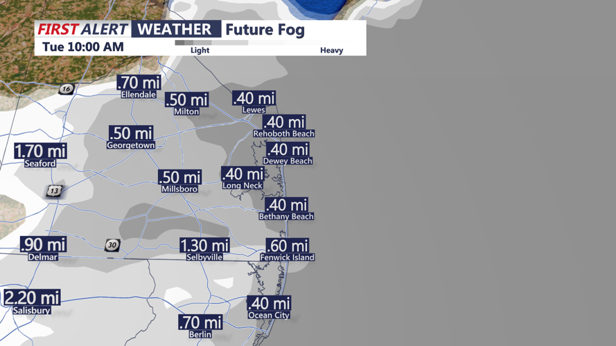 FUTUREFOG - SUSSEX COUNTY