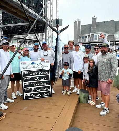 Billfisher top Tuna catch